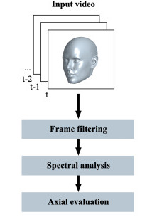 Head tremor in cervical dystonia: Quantifying severity with computer vision
